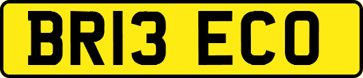 BR13ECO