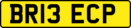 BR13ECP