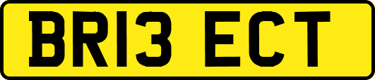 BR13ECT