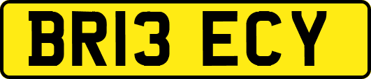 BR13ECY