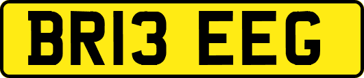 BR13EEG