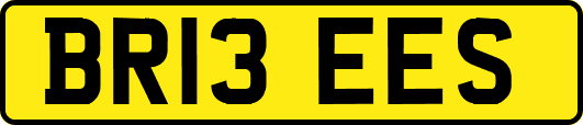 BR13EES