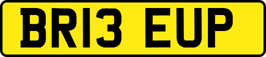 BR13EUP