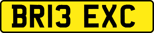 BR13EXC