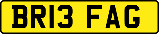 BR13FAG