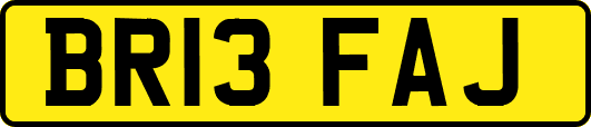 BR13FAJ