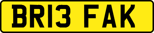 BR13FAK