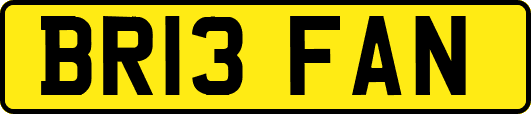 BR13FAN