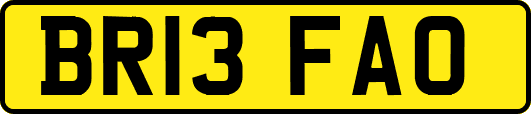 BR13FAO