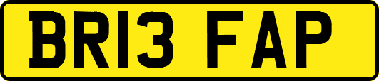 BR13FAP