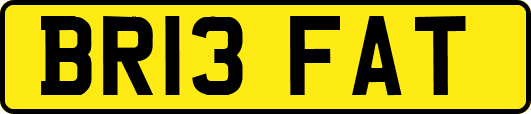BR13FAT