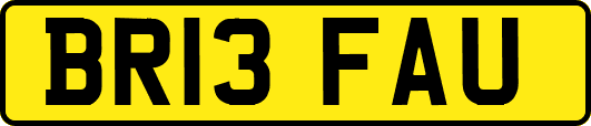 BR13FAU