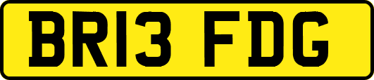 BR13FDG