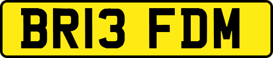 BR13FDM