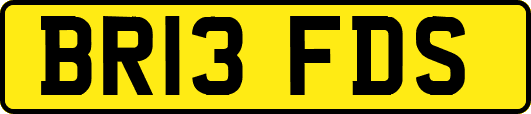 BR13FDS