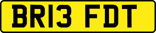 BR13FDT