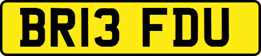 BR13FDU
