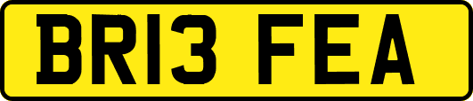 BR13FEA