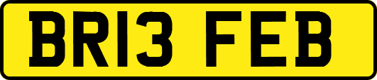BR13FEB