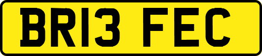 BR13FEC