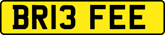 BR13FEE