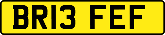 BR13FEF
