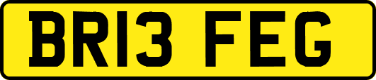 BR13FEG