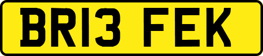 BR13FEK