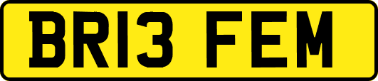 BR13FEM