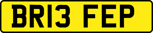 BR13FEP