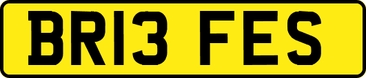 BR13FES