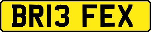 BR13FEX