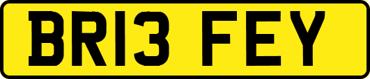 BR13FEY