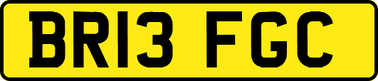 BR13FGC