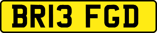 BR13FGD