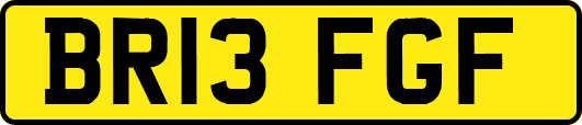 BR13FGF