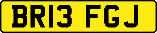 BR13FGJ