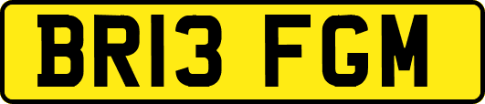 BR13FGM