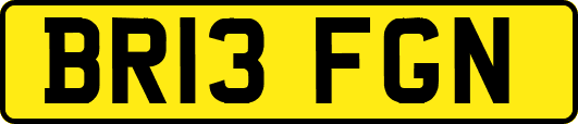 BR13FGN