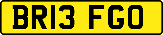 BR13FGO