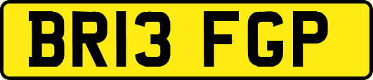 BR13FGP
