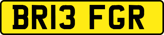 BR13FGR
