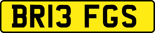 BR13FGS