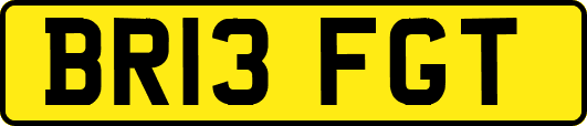 BR13FGT