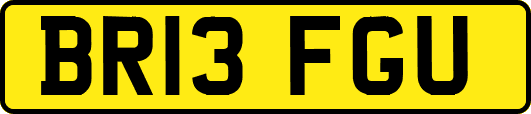 BR13FGU
