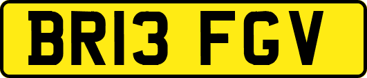 BR13FGV
