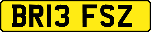 BR13FSZ