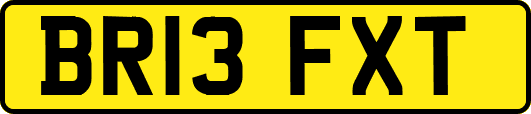 BR13FXT