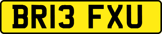 BR13FXU
