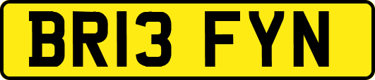 BR13FYN
